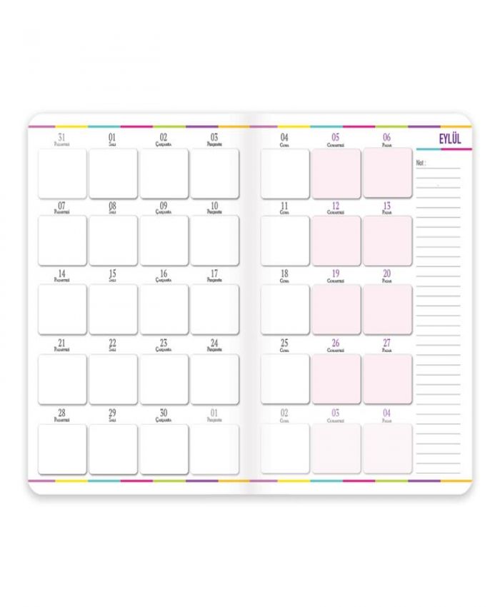 KESKİN AJANDA 17x24 AKADEMİK KOALALAMA 830261