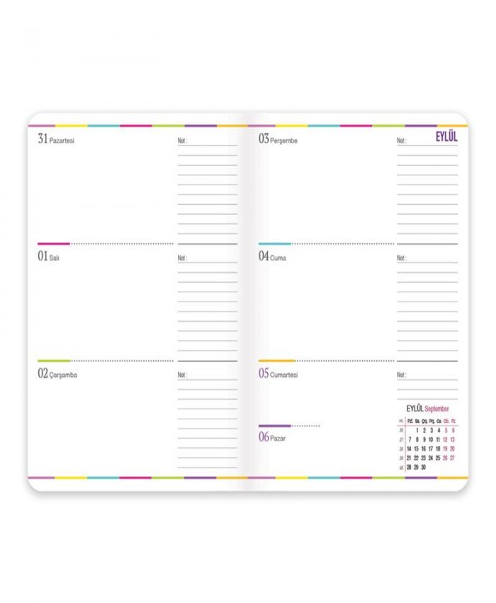 KESKİN AJANDA 17x24 AKADEMİK KOALALAMA 830261