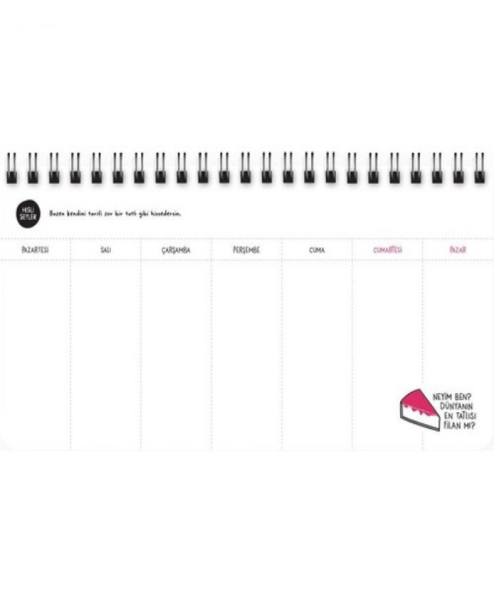 KESKİN AJANDA 13X27 SPR.STİCKERLI PLANNER HİSLİ Ş.
