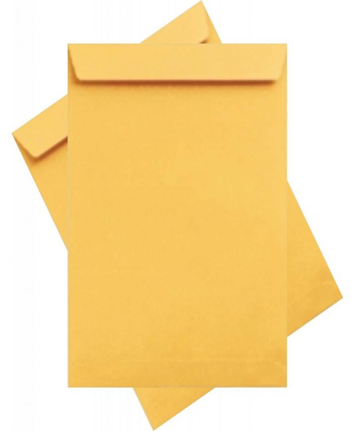 ZARF TORBA ZARF EXP 37x45 100GR FORMULA SLK