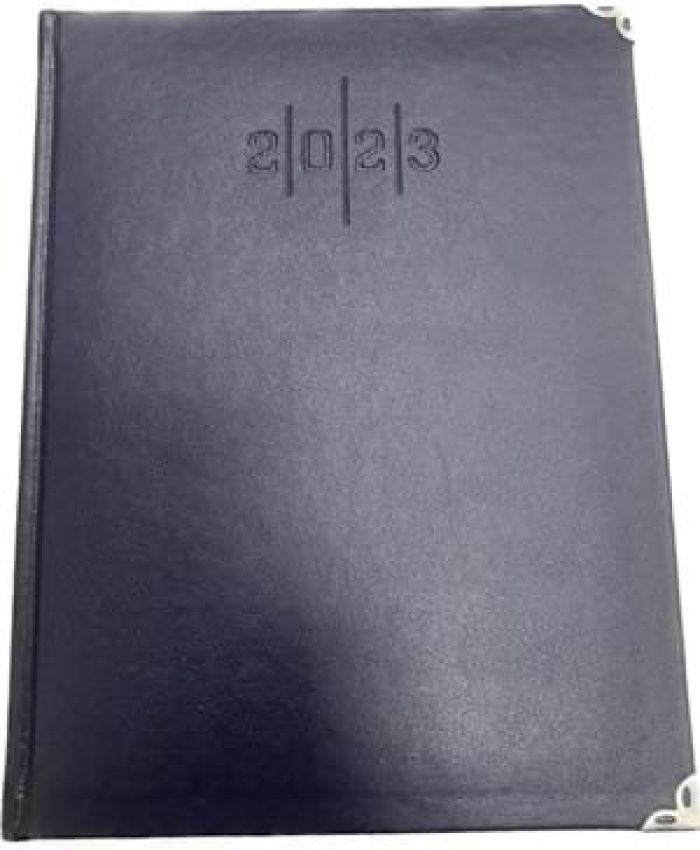 LİZ AJANDA 17x24 SUNİ DERİ ALEGRO AJ927