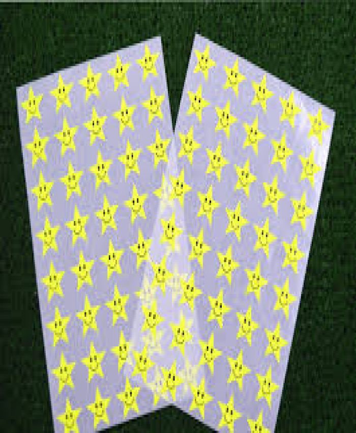 TANEX STİCKER GÜLEN YILDIZ FLO SARI 2 SYF TNX-304